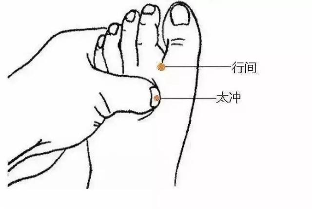 清明时节前后《养生攻略》之：养肝舒心“常饮四汤，常揉两穴”