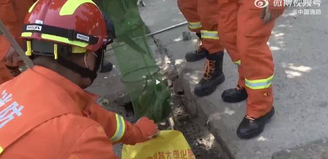 3米眼镜王蛇现身村道，为何各地频繁出现毒蛇，或许是人为的？