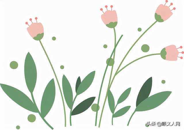 順義這處網紅商業街被評爲國家級3A景區，快來打卡