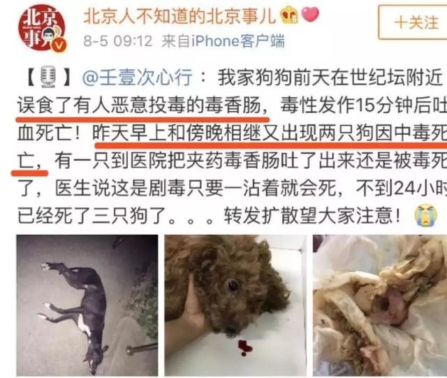 偷狗贼用药水喷狗，60秒后狗死亡，什么药这么毒，喷到人怎么办？