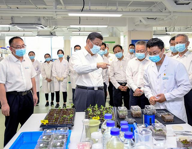 联播+｜五个重要问题 总书记这篇文章都讲透了