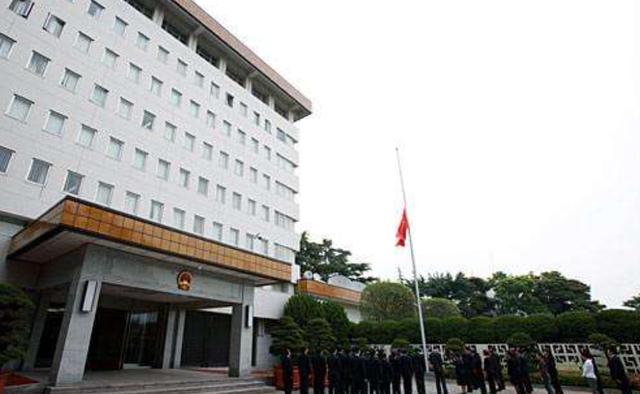 2019年四川女子包中被翻出“白粉”，入狱两个月后，弟弟千里营救