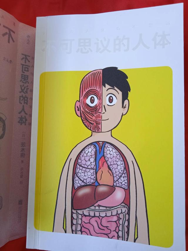 孩子了解自己身体，从这本有趣的书开始