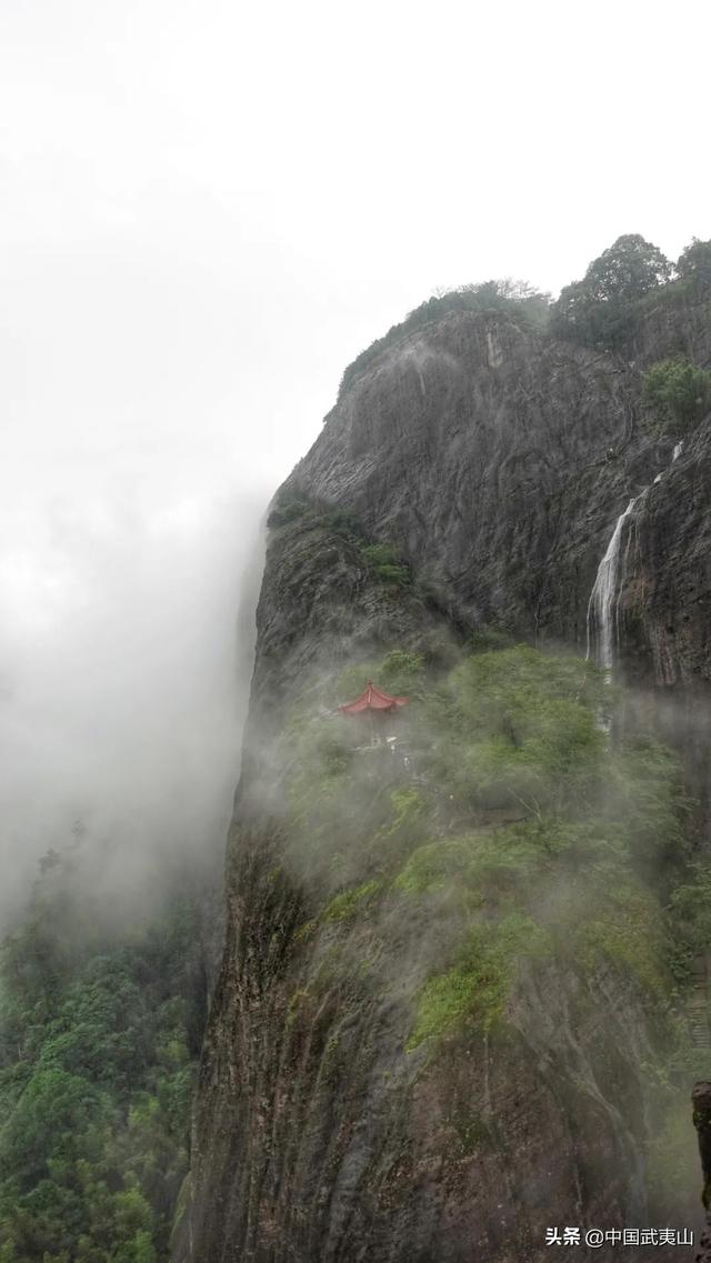 烟雨武夷 | 风景清明后，只一眼便忘却人间无数