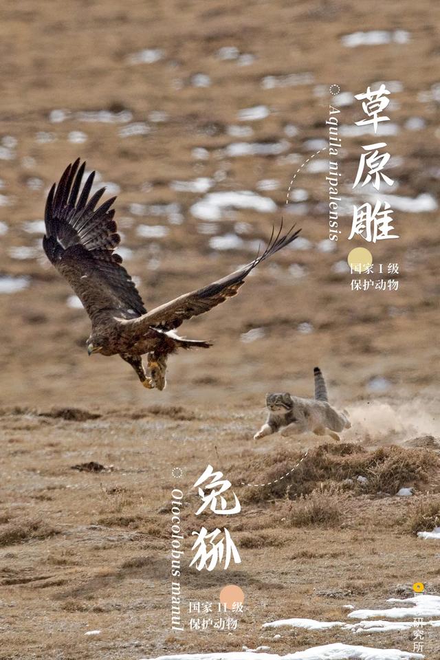 五指山破碎制砂机厂家