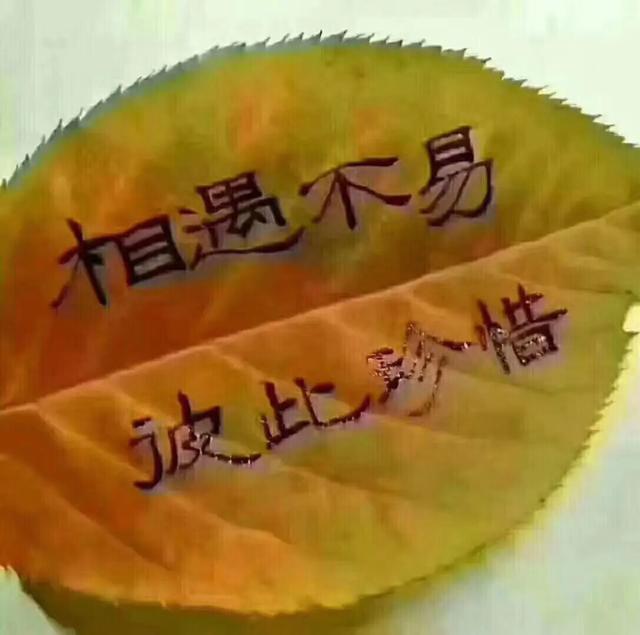 人生的苦，得自己扛；人生的福，得自己造