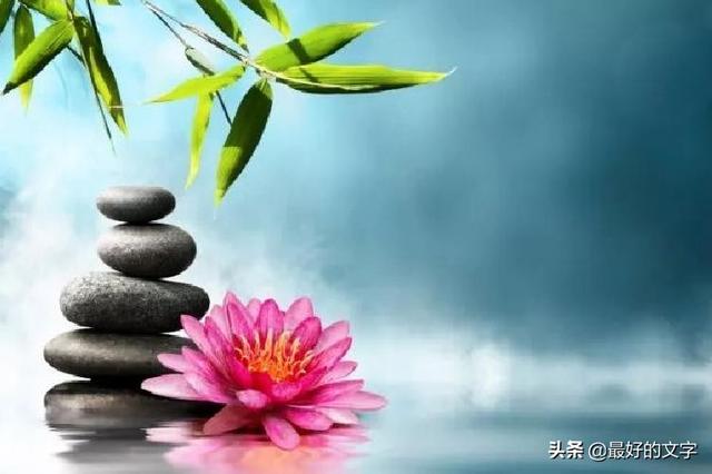 半生已过，我明白很多！（深度好文）