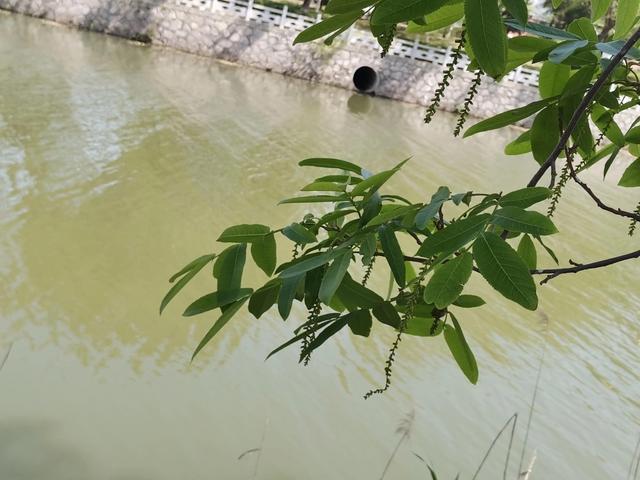 最后能做点的事