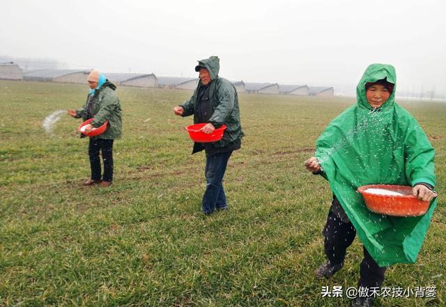 种地选不对化肥，施肥再多也没好效果——选购肥料要注意这4点5