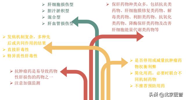 治病还是致病？警惕“吃”出药物性肝损伤