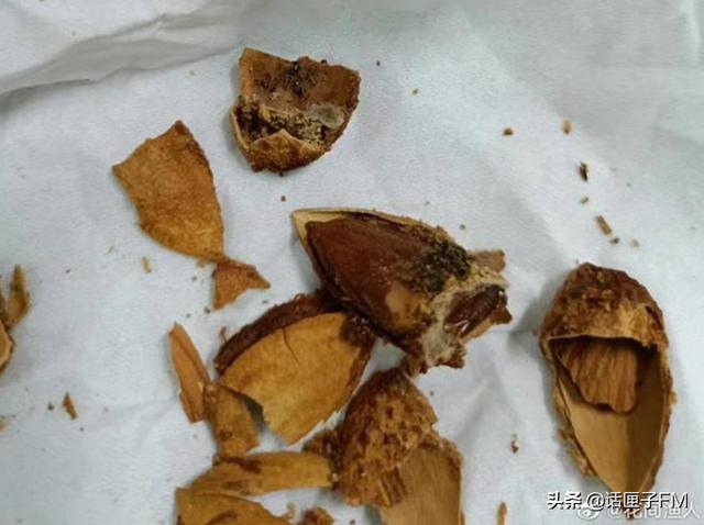头皮发麻！坚果吃出密密麻麻的虫卵，客服回应：无法避免