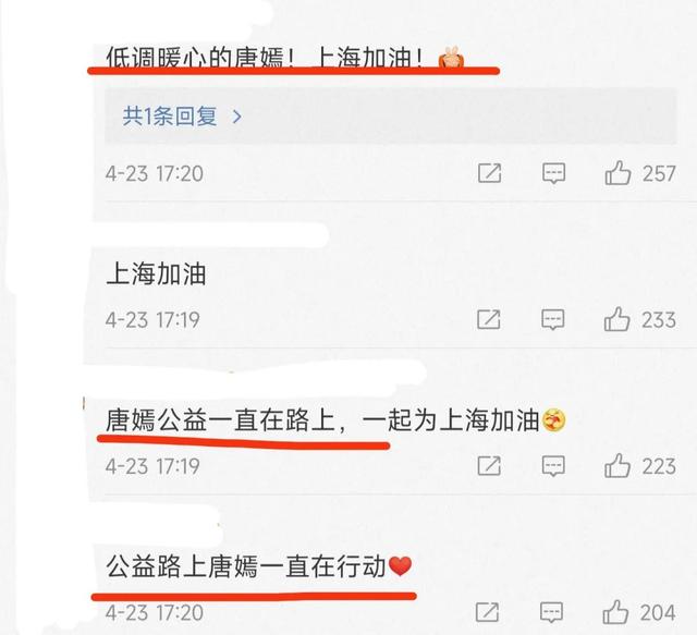 三天十一星捐赠物资:罗晋、捐司机钱，杨丞琳、捐快餐。
(图11)