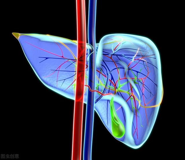 疲乏无力，精力不足，1个小丸子就能解决所有肝问题，太强了