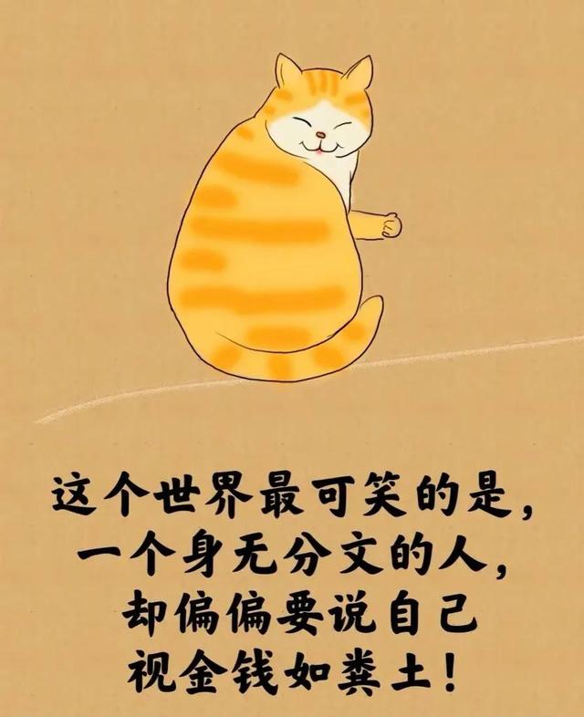 所谓的人生就是⋯