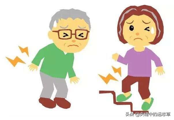 肝开窍于目，在体合筋，其华在爪，讲几个小方子，养肝血，调肝气