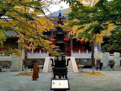 鐵兵遊記｜探訪三絕 四寶雲居寺