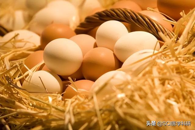 北京大学团队研究显示：每天吃一个鸡蛋，可降低心血管风险-太公奇门网