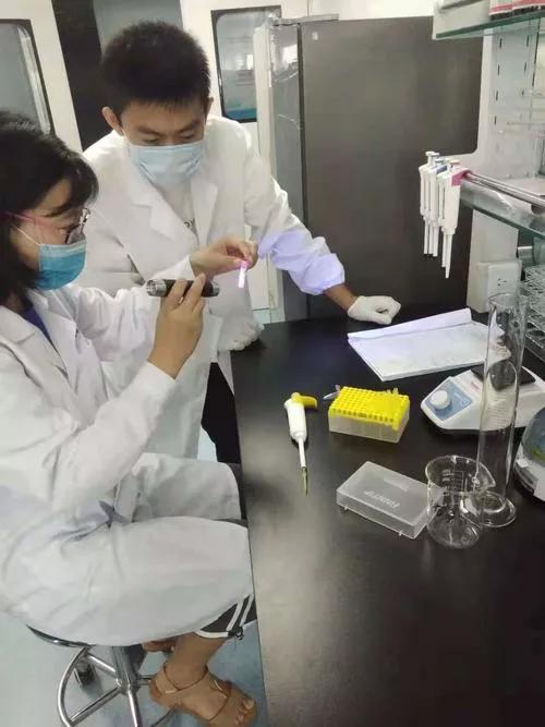 筛选几千个药物发现的千金藤素，上市还要多久？连花会受影响吗？