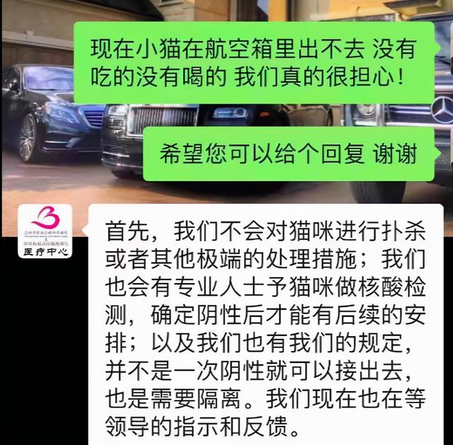 “确诊后，我的猫就要被人道销毁？”