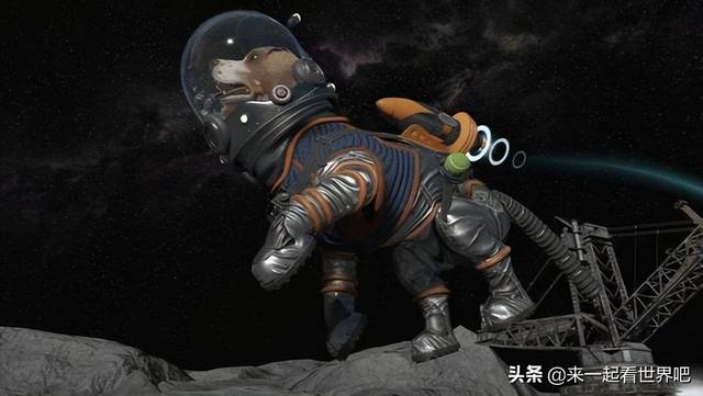 https://blog.sina.com.cn/s/blog_9766a3620102yz2k.html