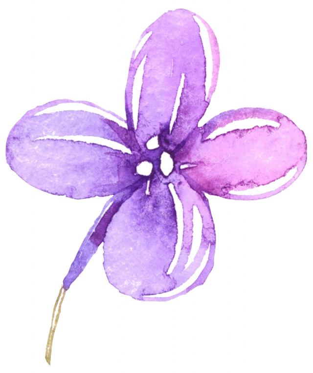 花卉图案手绘简单（漂亮的花卉手绘图案）(22)