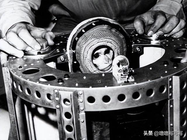 为人类太空事业做出贡献的动物们