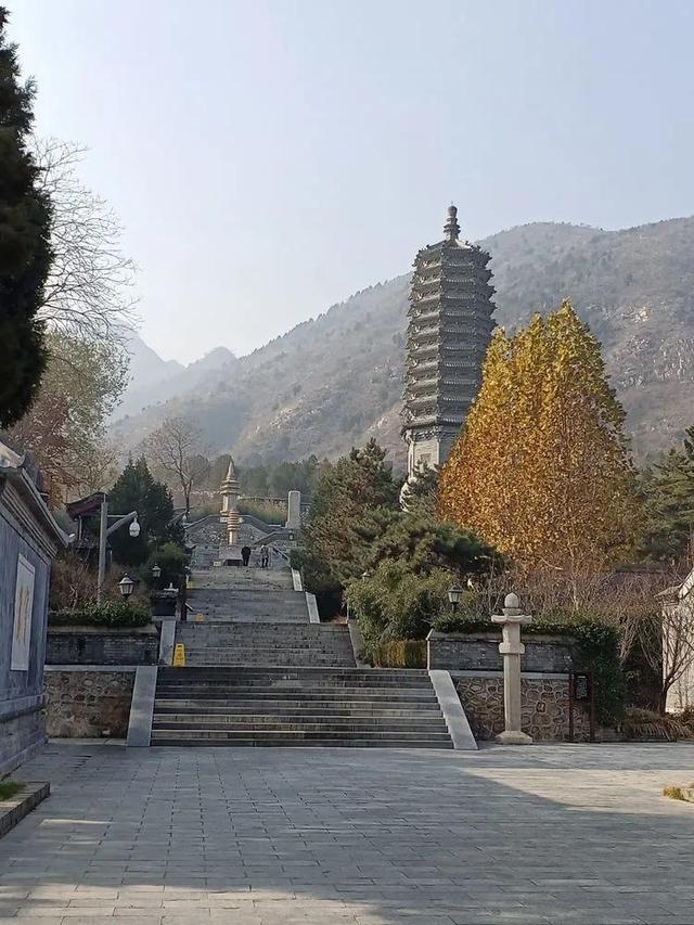 鐵兵遊記｜探訪三絕 四寶雲居寺
