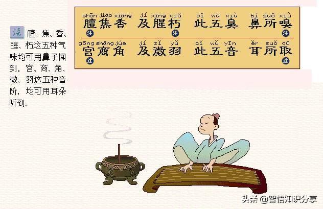 卡通图案带拼音注解，这个版本幼儿启蒙读物《三字经》要收藏起来