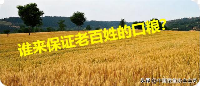 多地紧急排查割青麦事件，明确表态禁止割青麦行为