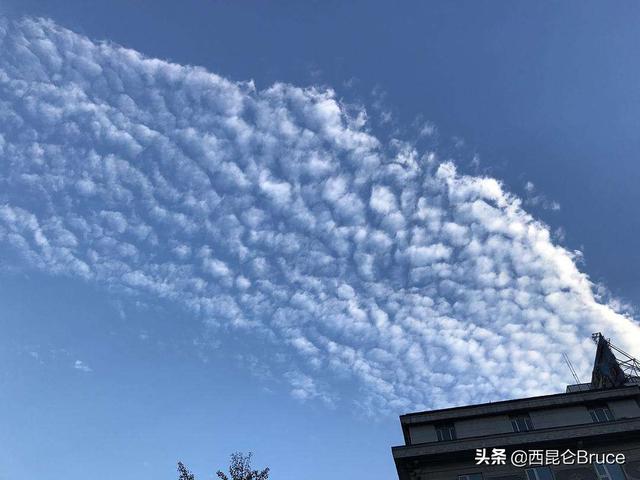 是自然灾害的预兆吗？四川、重庆多地同时出现巨大日晕，比较特殊