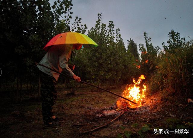 坟墓前，坐了一天的老爷爷不愿意回家，知情人称：老爷爷心里苦啊