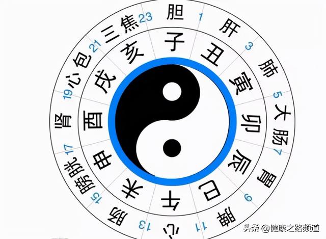 十二时辰对应脏腑图