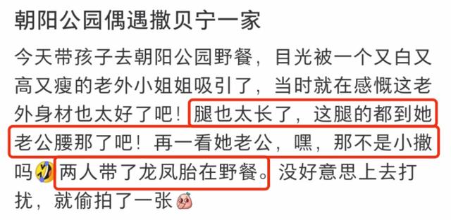 撒贝宁一家四口公园野餐，李白腿长到老公腰部，小腹微凸疑再怀孕