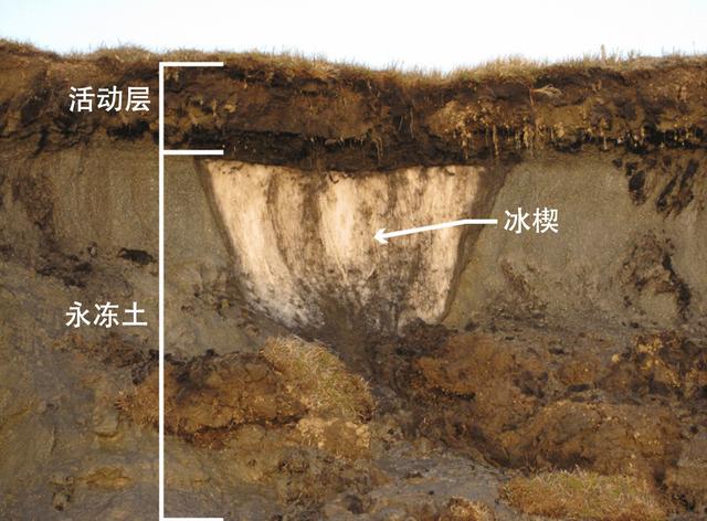 俄罗斯科学家为了永生，给自己注射350万年前的细菌，效果怎样？