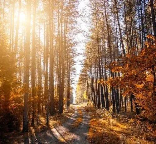 如何与孩子共同践行行万里路，读万卷书