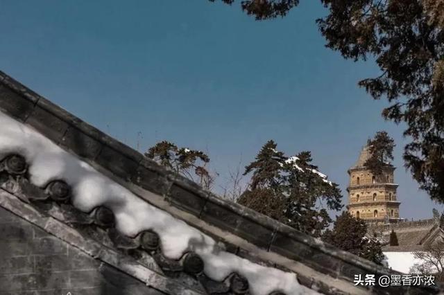 微观点‖人的痛苦究竟从哪里来？这几点会告诉你答案