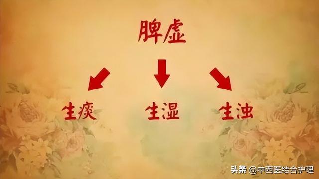 「中医养生」女人衰老的真正弱点——脾虚