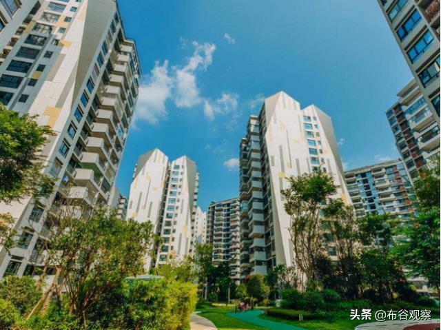 深圳“包租婆”，坐拥九栋楼月入160万，网友：必须一查到底
