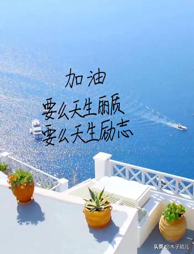 抄书有收益第27天：成为自己的太阳，不需要凭借别人的光