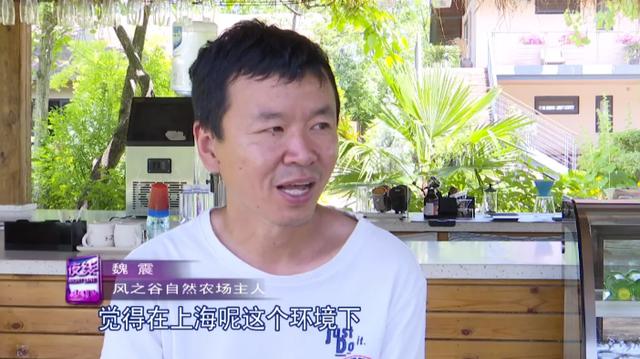 腾讯元老魏震：赚够钱后果断辞职，携妻儿归隐山林，每天种地喝茶