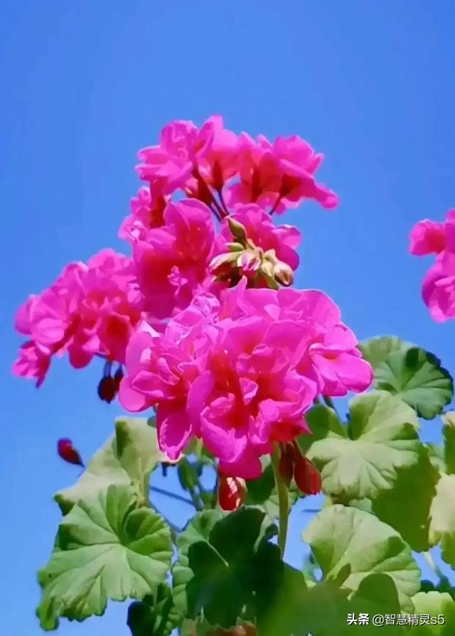 每个背井离乡的人，都是梦想家