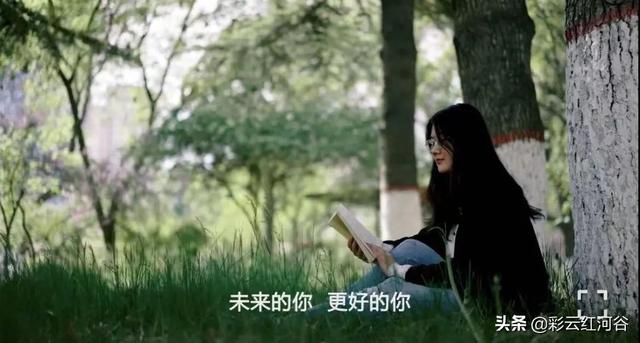 多所高校公布这一大数据！网友：“卷”得漂亮