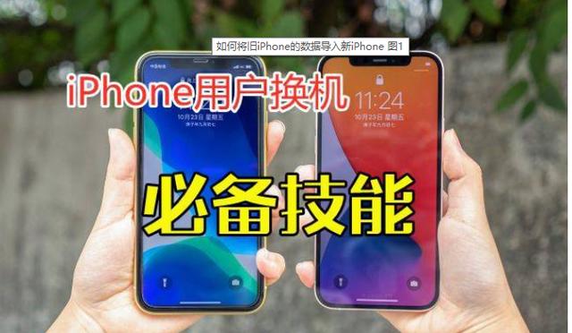 如何将旧iPhone的数据导入新iPhone？4种方法教你快速迁移