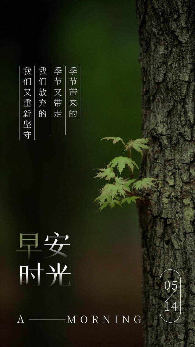 朋友圈励志早安图片句子，人生在路上，就该不断前进