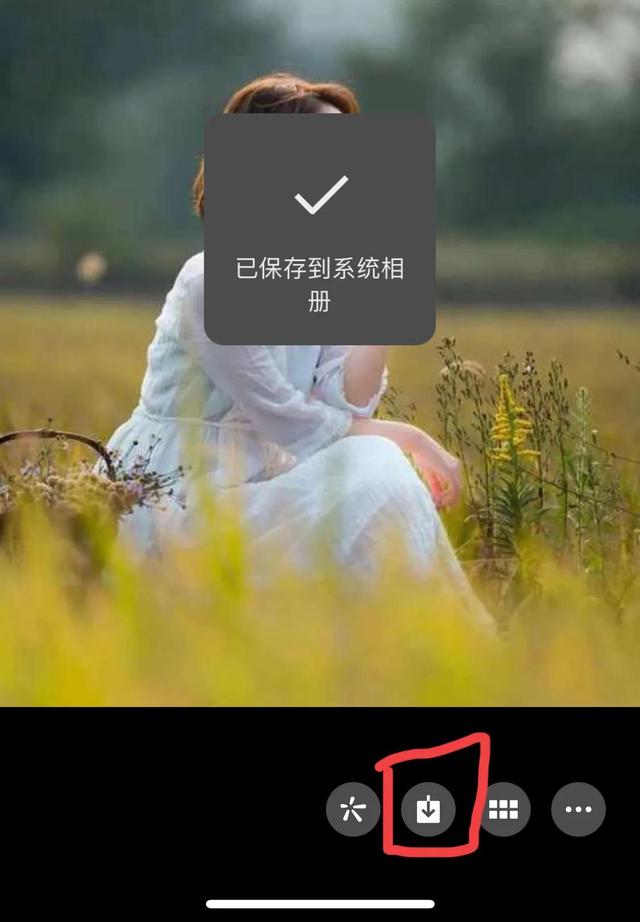 [微信蓝孔雀朋友圈虚拟定位]，如何复制微信视频号链接