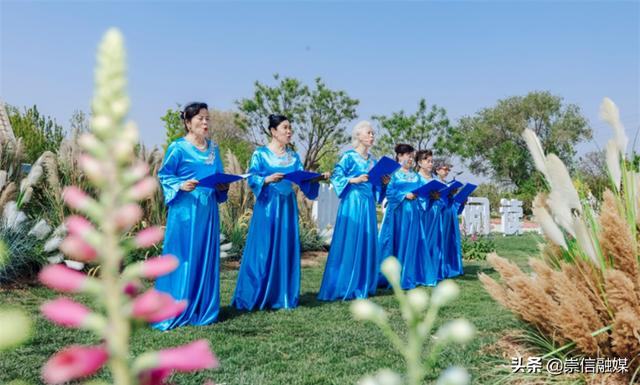 赏一片花海，读一本好书，这个“花园书房”太美妙了！