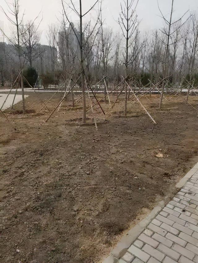 昌平這些大公園建設又傳新進展，未來環境大變樣
