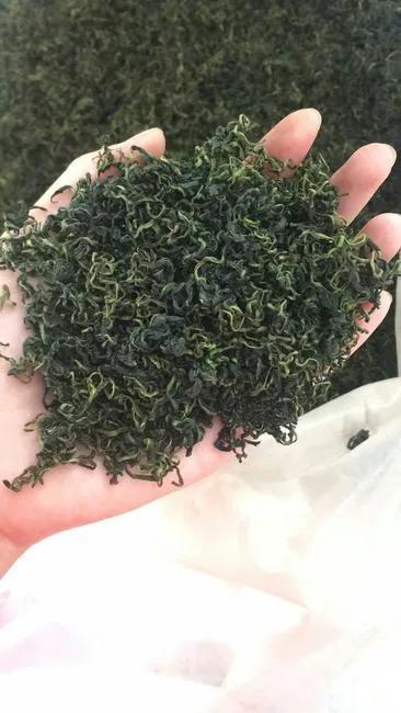 蒲公英和她的朋友呵护您的健康