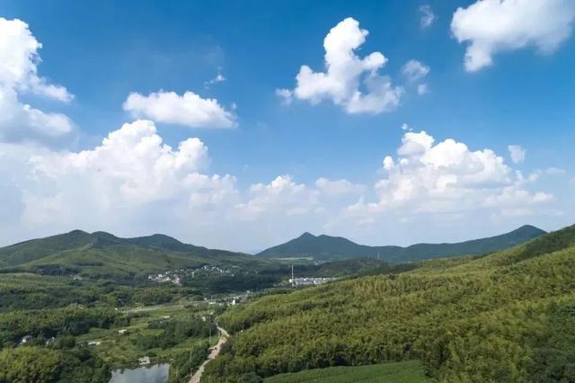 立夏啦！“泡”进绿意里，一次看个够