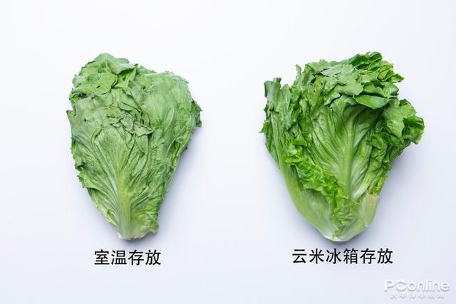 健康智能完美结合，让你看见冰箱异味！云米AI冰箱21Face 2S评测